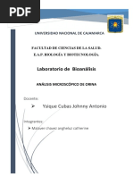 análisis microscopico de orina
