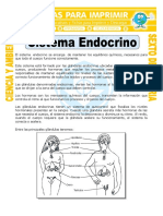 Sistema-Endocrino-para-Sexto-de-Primaria.pdf