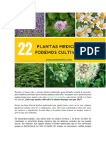 22 plantas curativas