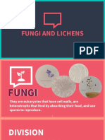 4.7 Fungi and Lichens