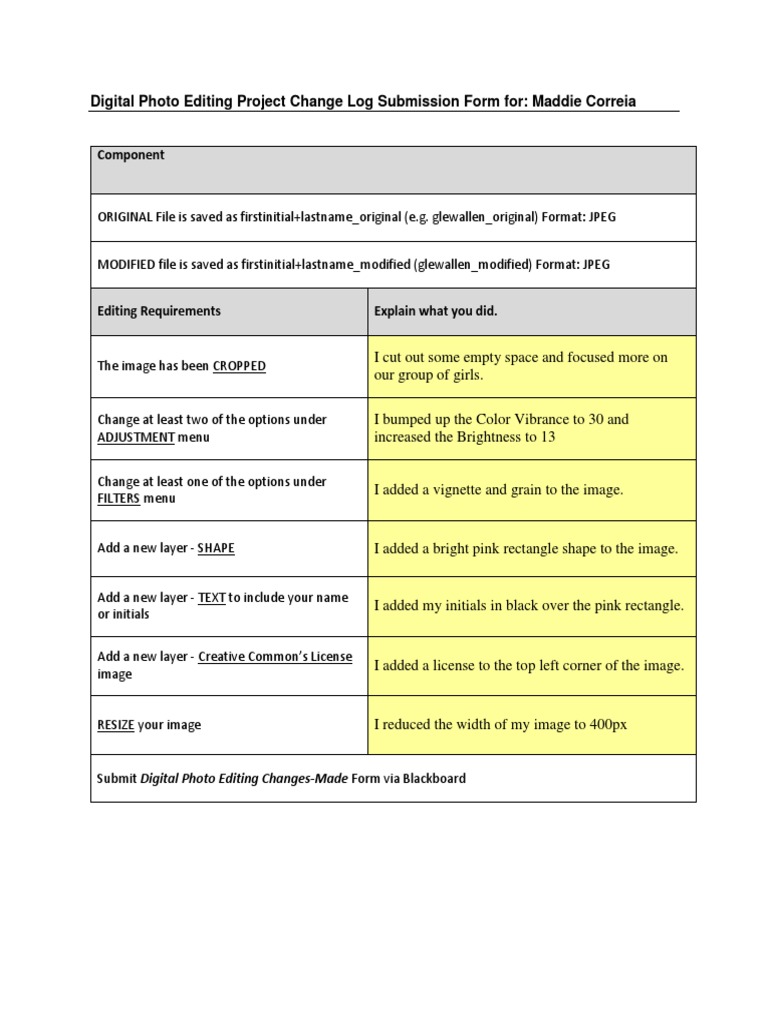 Digital Photo Editing Change Log Form | PDF