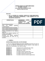 Taller Labores Agricolas Complementarias Oct 7