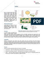 Plant Structure and Function PDF