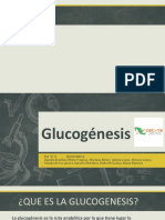 Glucogenesis