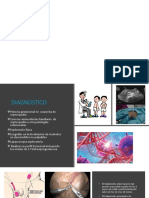 Dignostico y Tratamiento Orquidopexia