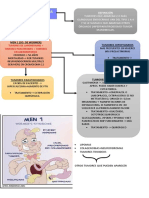 Neoplasia Endocrina Multiple 