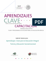 Curso Desarrollo Socioemocional y Tutoría.pdf