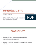 Tema 5. Concubinato PDF