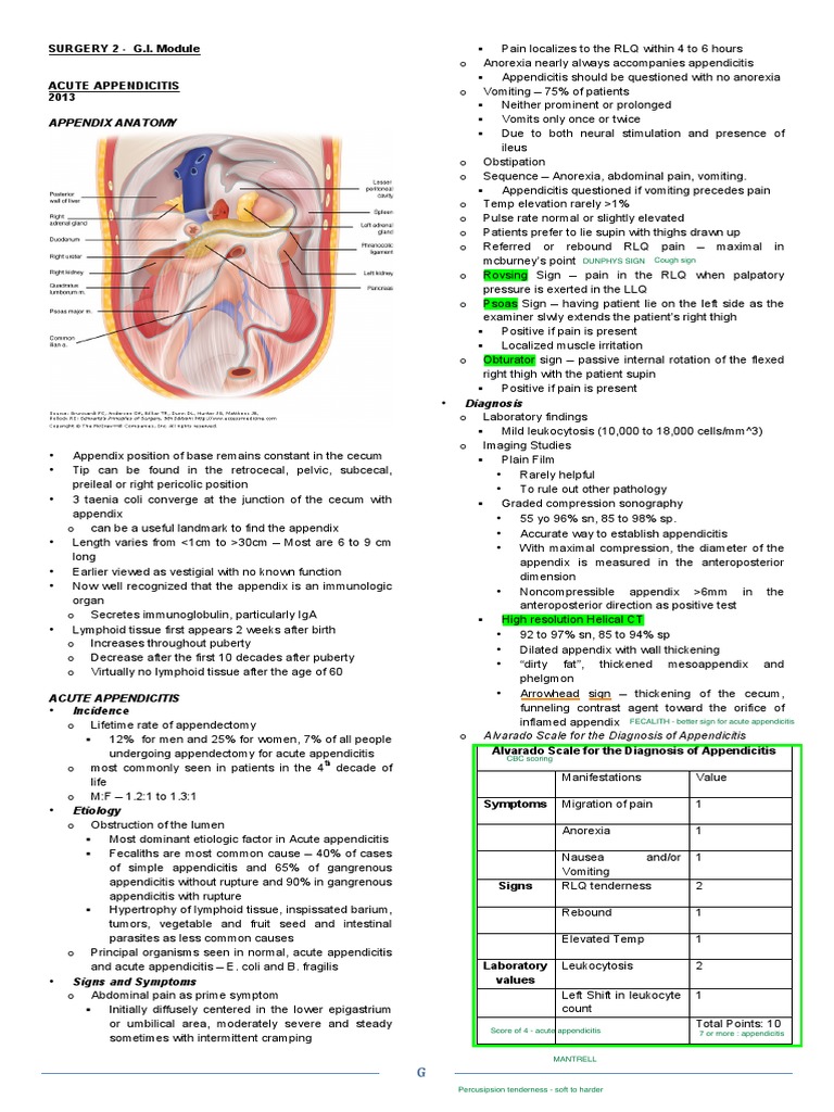 Appendix Anatomy: SURGERY 2 - G.I. Module | PDF | Medical Specialties ...