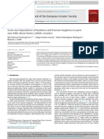 Boron PDF