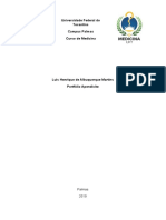 2° Portfólio - Luis Henrique de A Martins - Apendicite