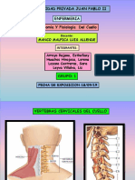 Anatomia y Fisiologia de Cuello