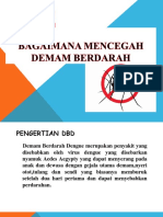 Bagaimana Mencegah DEMAM BERDARAH