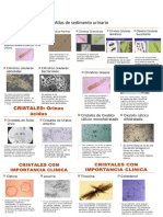 Atlas de sedimento urinario.docx