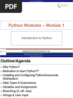 Python Programming 101 | PDF | Control Flow | Object Oriented Programming