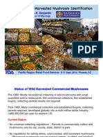 Basics of Wild Harvested Mushroom Identification.pdf