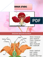 Morfologi Tumbuhan 2