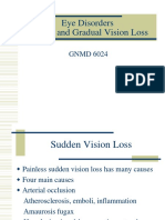 2 - Sudden and Gradual Vision Loss