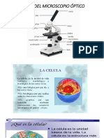 Partes Del Microscopio Óptico