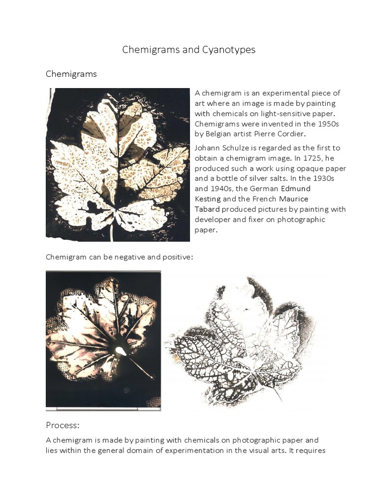 Chemigrams and Cyanotypes Explained | PDF | Imaging | Optics