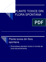 PL Tox C Iii - Plante Toxice Din Flora Spontana