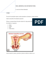 Histerectomia Abdominal Total (Autoguardado)