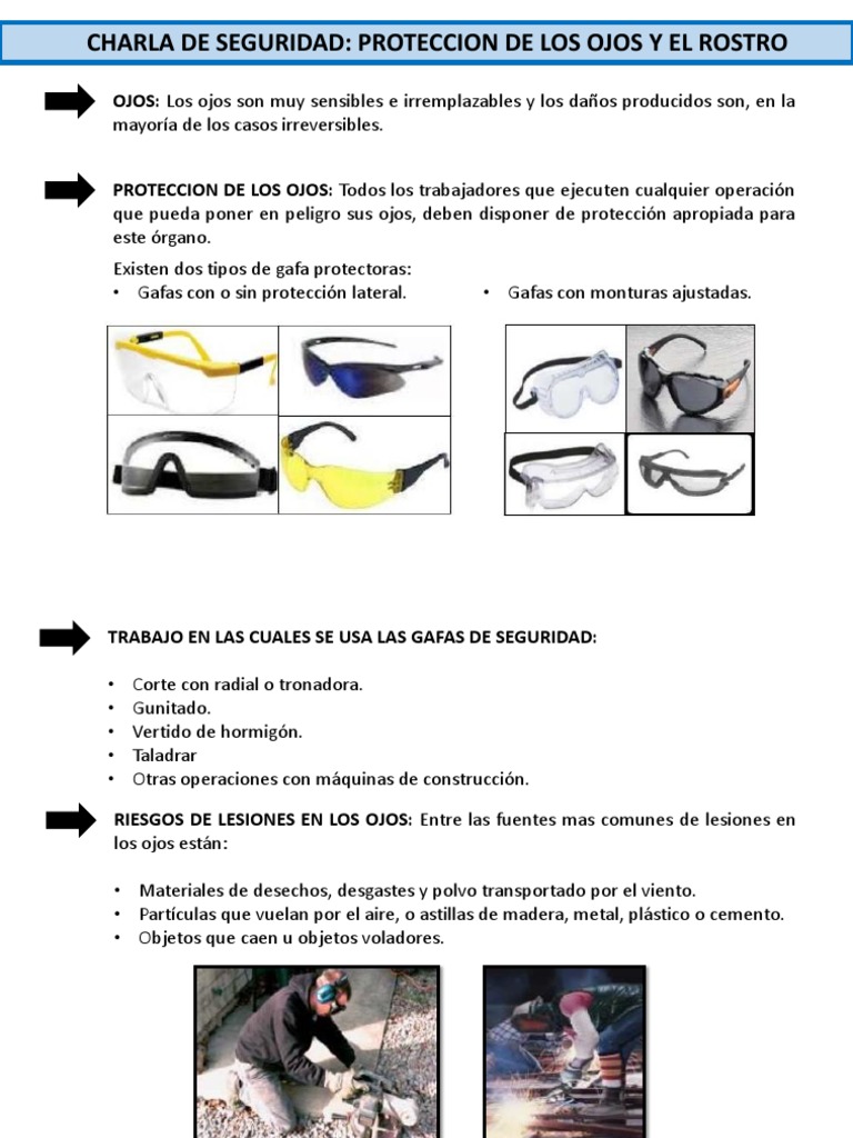 Proteccion en Los Ojos, PDF, Ojo