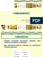 Aula - Carboidratos