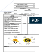 Formato de Inspeccion de Cascos de Seguridad