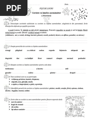 Fisacuvinte Cu Inteles Asemanator Docx