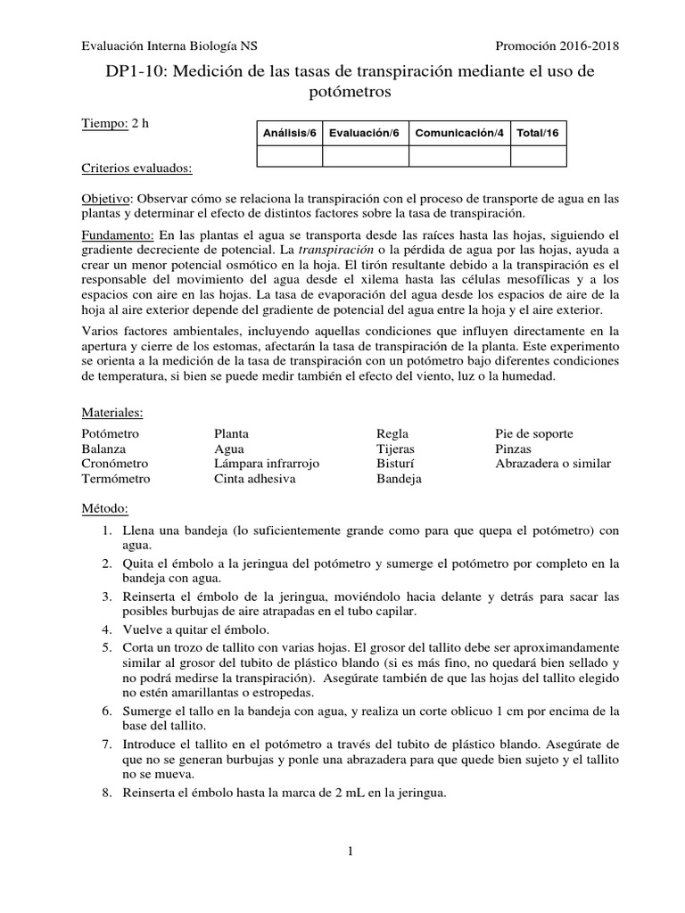 Modelo Potometro | PDF | Hoja | Naturaleza