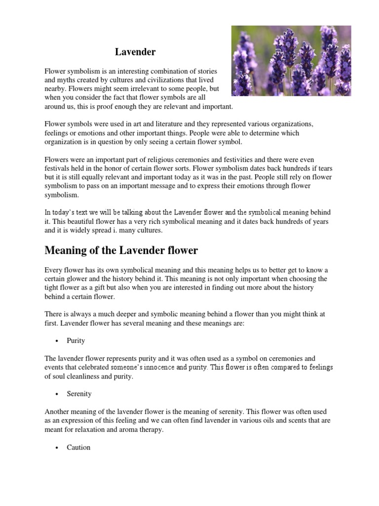 Symbolism and Meaning of Lavender Flower | PDF | Lavandula | Flowers