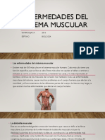 Enfermedades Del Sistema Muscular