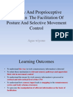 Sensory and Proprioceptive System in The Facilitation of Posture and Selective Movement Control