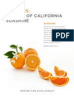 A Taste of California Sunshine: Oranges