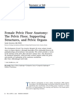 Female Pelvic Floor Anatomy: The Pelvic Floor, Supporting Structures, and Pelvic Organs