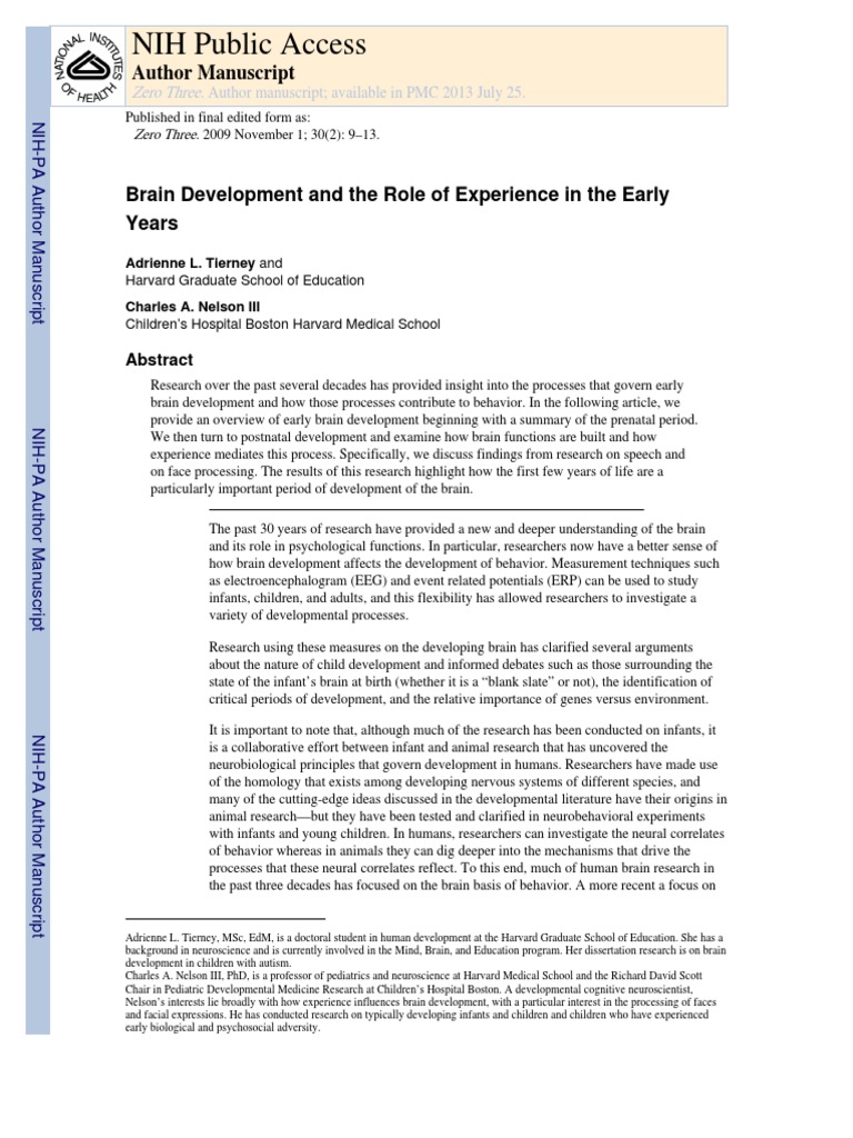 Early Brain Development Insights | PDF | Synapse | Neuron