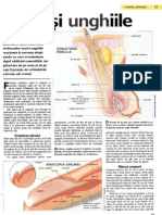 Parul si unghiile