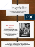 Dinámica Sociocultural de Los Pueblos Indígenas de México