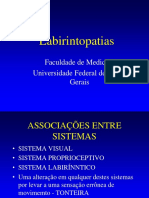 Labirintopatias: Sistemas associados, fisiopatologia, exames e tratamentos