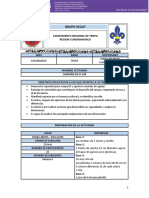 Ficha Actividad La Campaña en El Sur