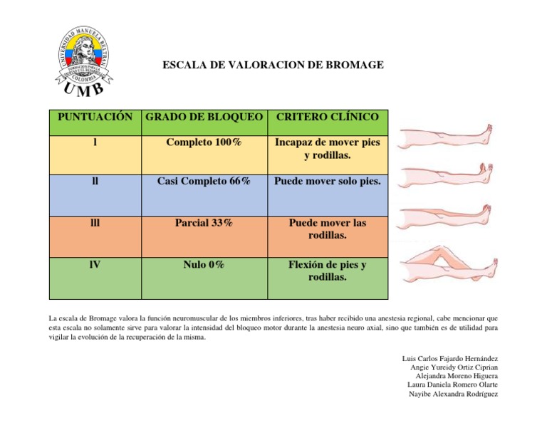 La escala de Bromage: una herramienta para valorar el grado de bloqueo ...