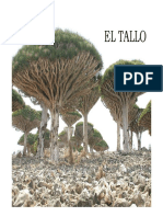 clase-4-tallo_anatomia-y-funcion.pdf