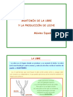 anatomia_braguer_i_produccia_llet.pdf