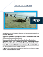 Contaminacion en La Playa Atahualpa