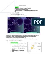 Fármacos SNC - Opiodes