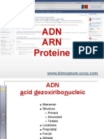 ADN_ARN_Proteine