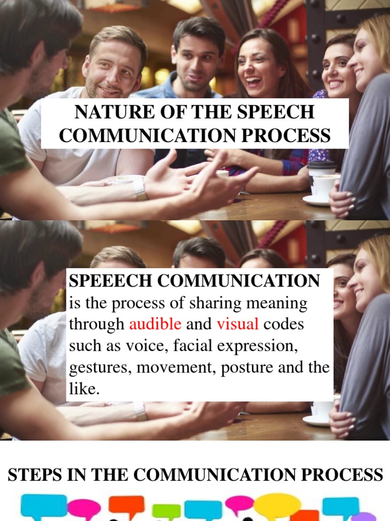 Nature of The Speech Communication Process PDF Speech Perception