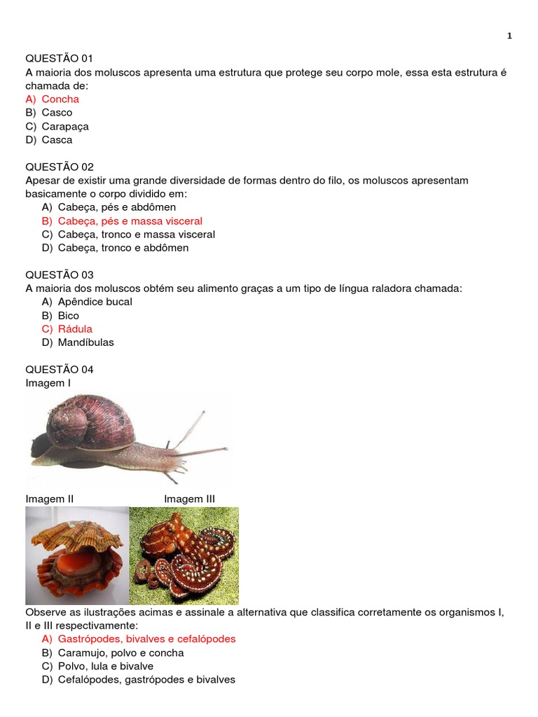Questões Filo Moluscos | PDF | Moluscos | Organismos