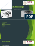 Marburgo Abigail PDF
